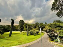 Cluny Park (D10), Detached #563355851